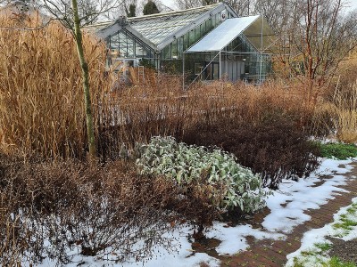 Voorjaar